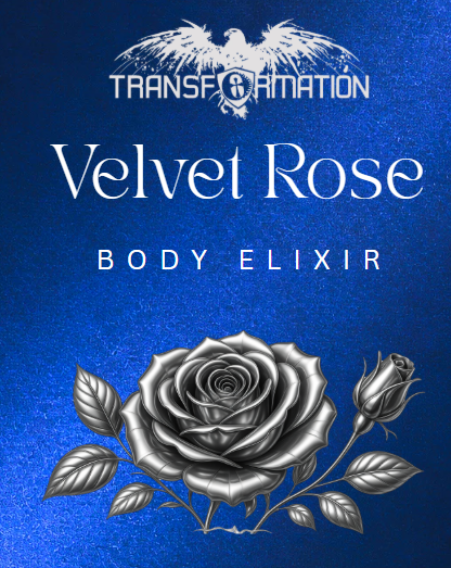 Body Oil - Velvet Rose
